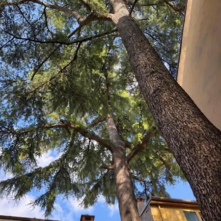 Corte Dei Due Cedri *
